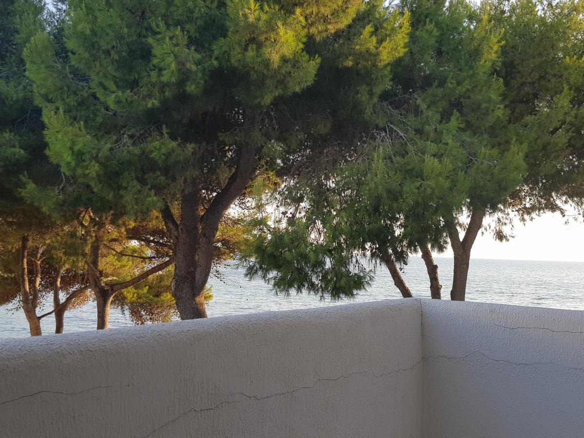 Appartamento La Caletta Gallipoli Extérieur photo